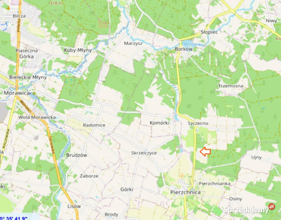 25 Kielc uzbrojona w otoczeniu lasów Szczecno