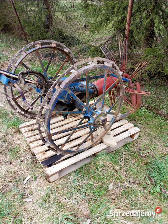 Kopaczka konna Pozostałe Gorlice