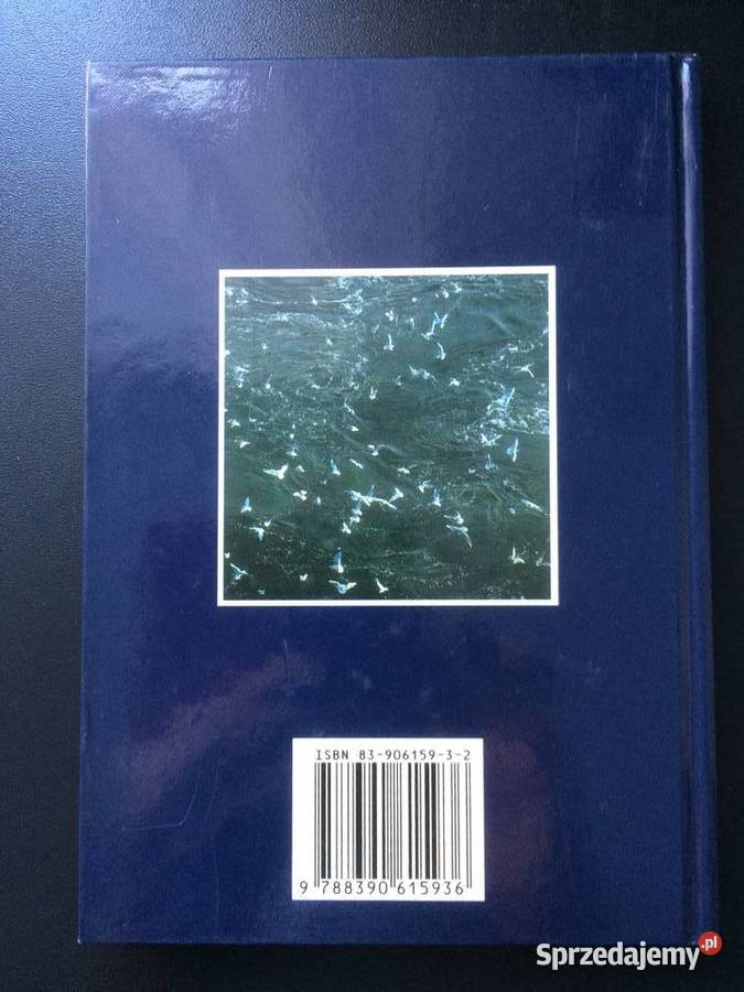 249 Szczecin W 3 Językach