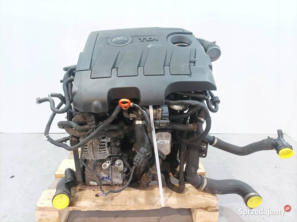 SILNIK KOMPLETNY DIESEL 16 TDI CAY Skoda Superb świętokrzyskie