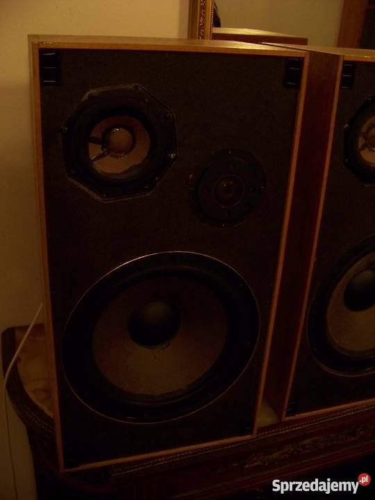 Kolumny Anglia podkarpackie Dębica