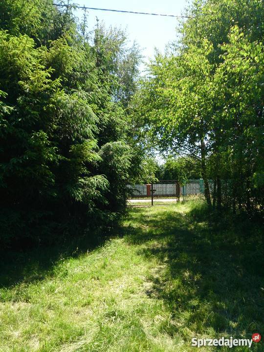 Sprzedam dom Sosnowiec