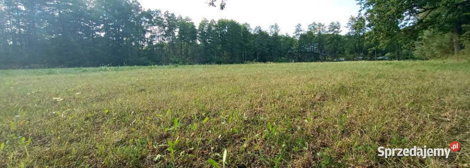 Działki budowlane Czubajowizna k Wołomina