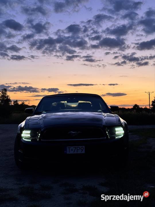 Ford Mustang Cabrio Premium ZAMIANA dolnośląskie Wrocław sprzedam