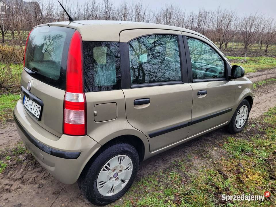 Fiat Panda 11