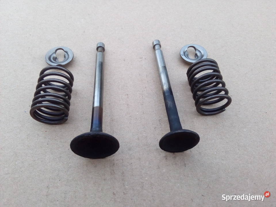 Zawory komplet BriggsStratton Classic Sprint Koszalin