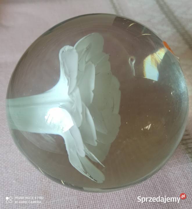 Kula szklana z białą różą przycisk na biurko Gdańsk