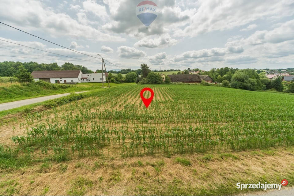 Działki budowlane Bestwina Hallera sprzedam