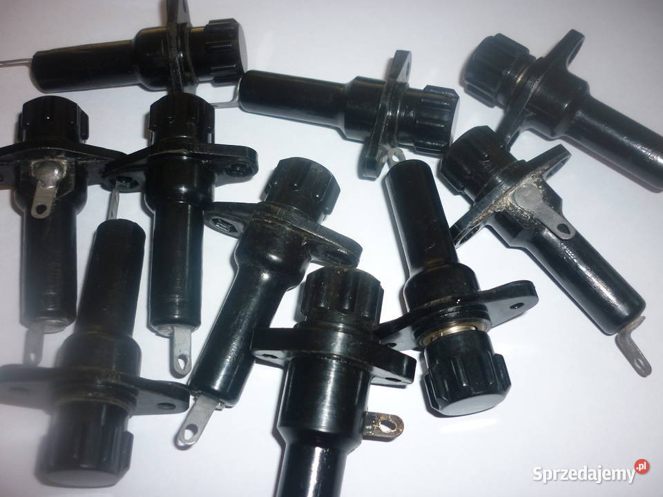 Gnizdo bezpiecznika Dębica