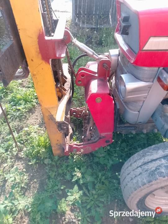 Sprzedam MF 135 MK3 Jasieniec sprzedam