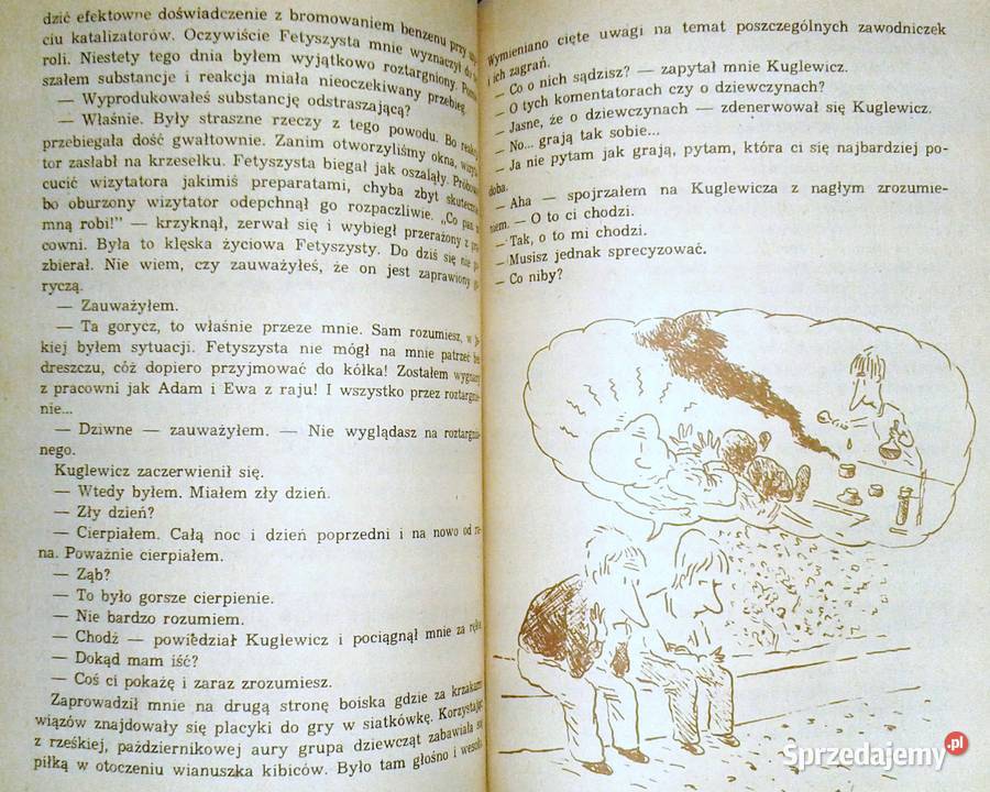 Szkolny lud Okulla i ja Edmund Niziurski miękka Chełm