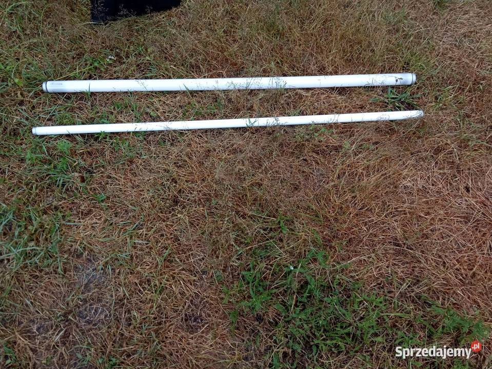 sprzedam jarzeniówki Kraków sprzedam