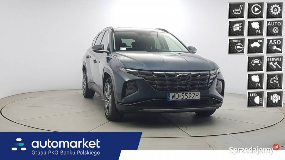 Hyundai Tucson 16 TGDi HEV Executive 4WD Z szary mazowieckie Warszawa