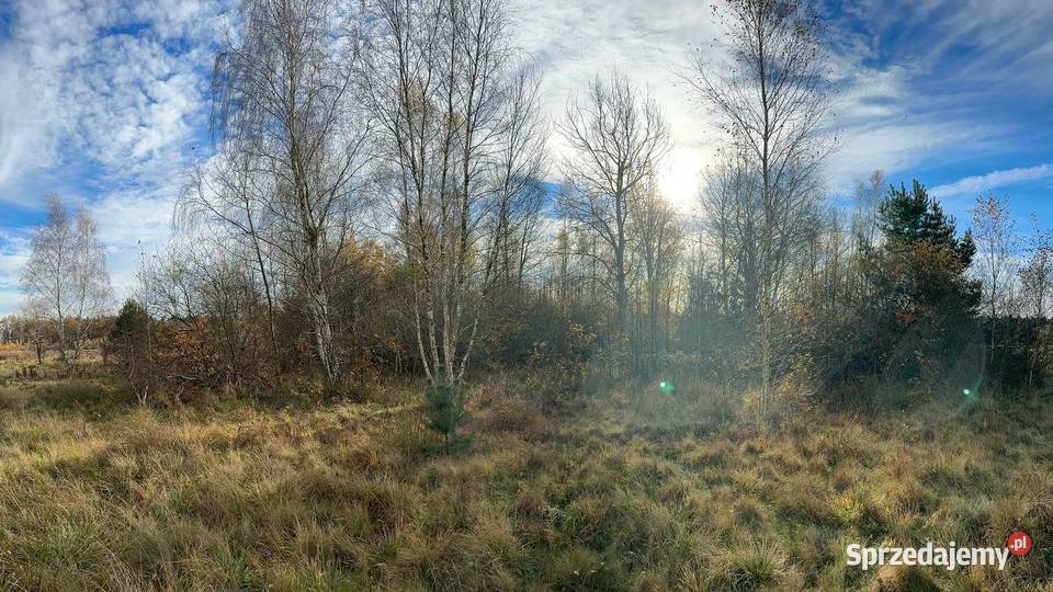 Działka budowlana Wymiarki sprzedam