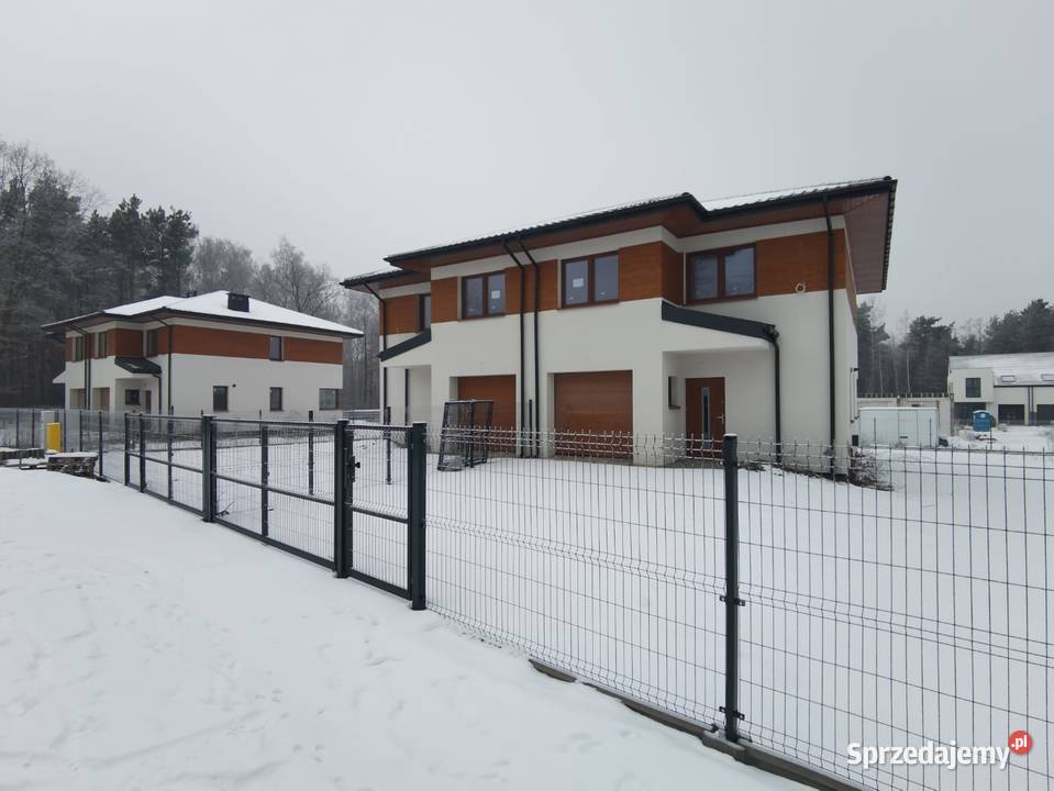 Nowoczesny dom lasu Bezpośrednio