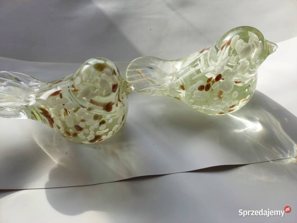 Ptaszki szklane 2 Wrocław