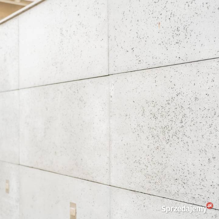 Płyta Betonowa Ścienna 120x60 1 GRUBOŚCI Gdów