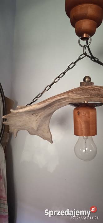 Niepowtarzalna lampa wisząca z poroża daniela Gniezno