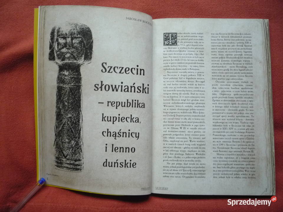 Fakultety szczecińskie Szczecin