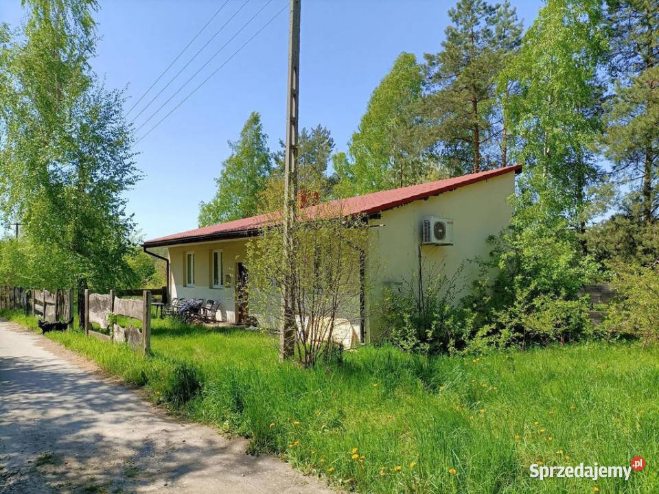 Dom na działce 4200 m2 w Gródku gm Policzna Gródek