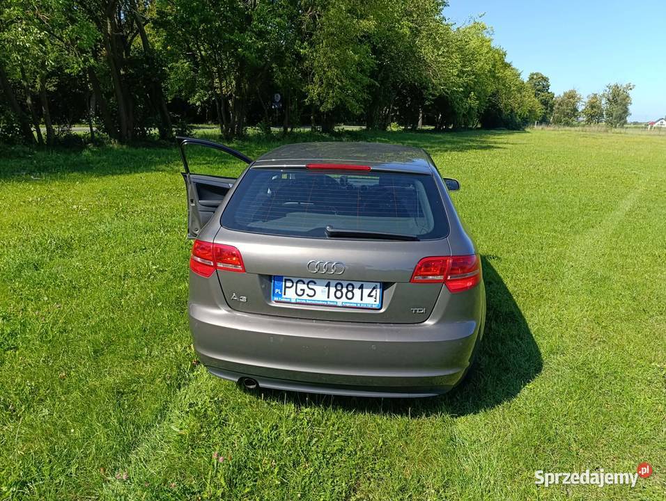 Audi A3 Gostyń sprzedam
