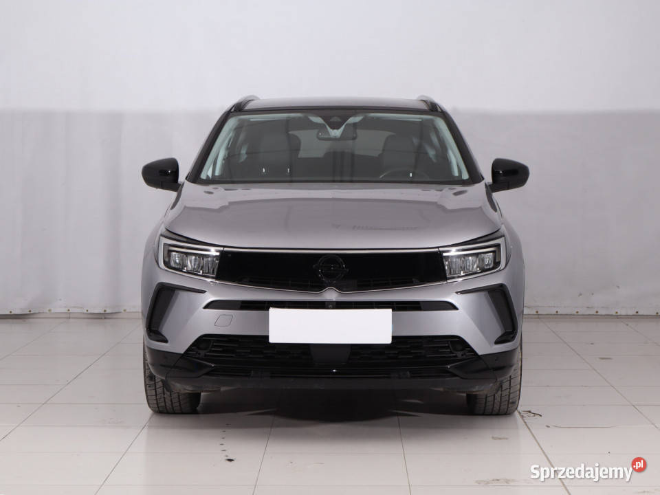 Opel Grandland 12 Turbo kamera cofania