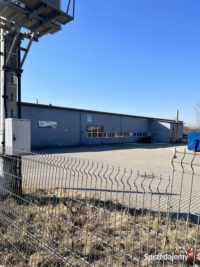 Syndyk sprzeda Zakład Produkcyjny WGnatowski w Różan