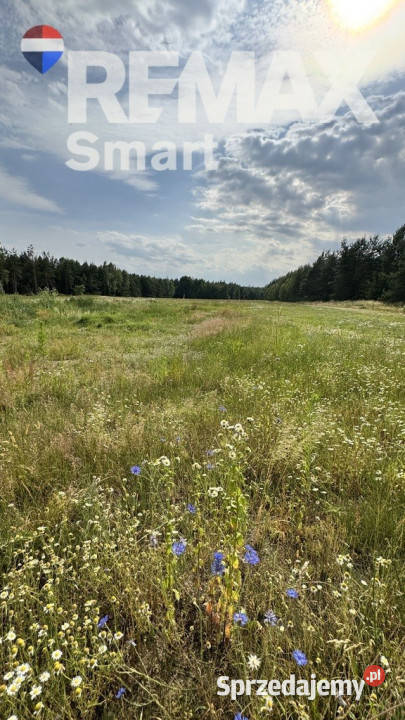 działka budowlana w otoczeniu lasu Gójszcz