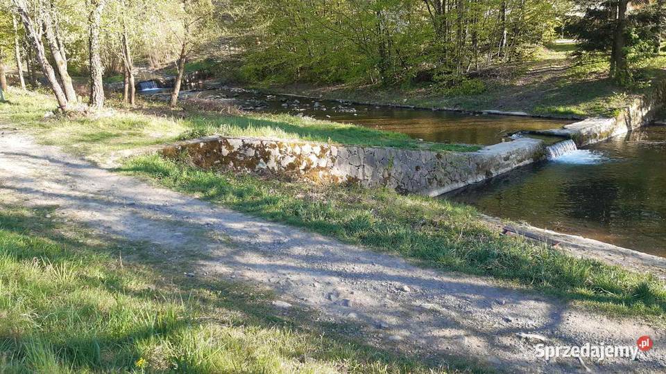 Działka rekreacyjna rzeką Porąbka łącznie 29 ar śląskie sprzedam