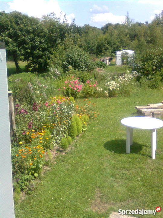 Dom z czerwonej cegły