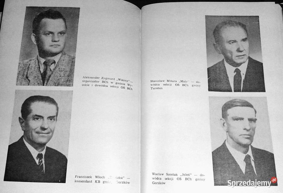 Walczyli na ziemi krasnostawskiej 19391945 Paweł Chełm