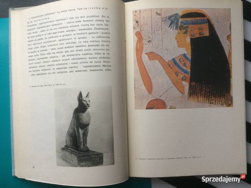 3545 Kształt Piękna Szczecin