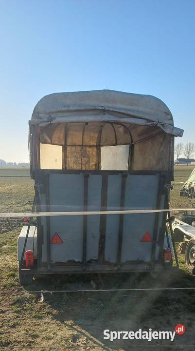 Przyczepa 2 osiowa do przewozu zwierząt