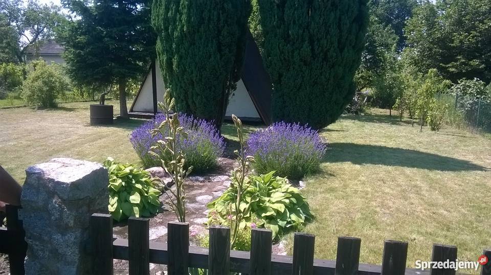 Działka rekreacyjna ROD Frezja Wrocław