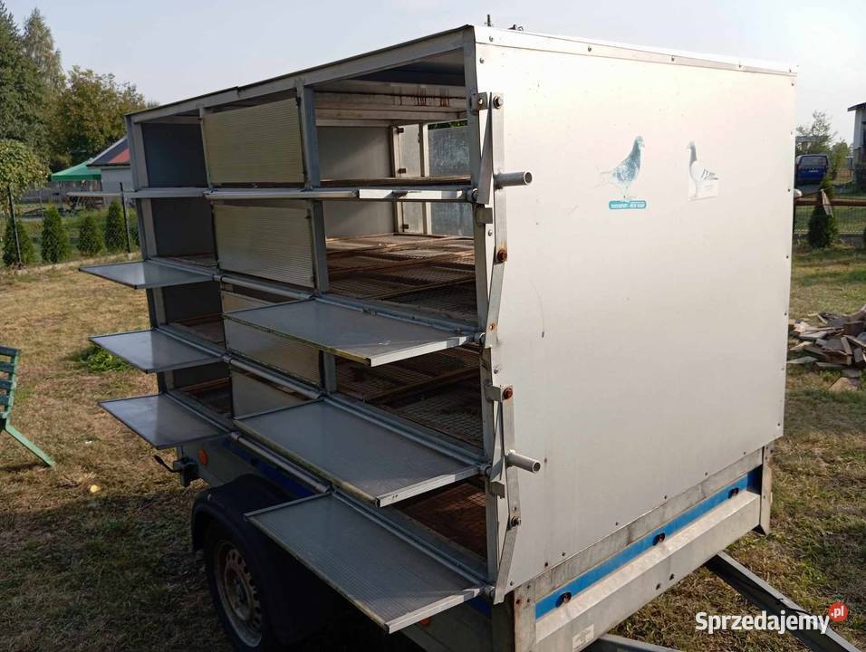 Kabina do transportu gołębi Bełchatów