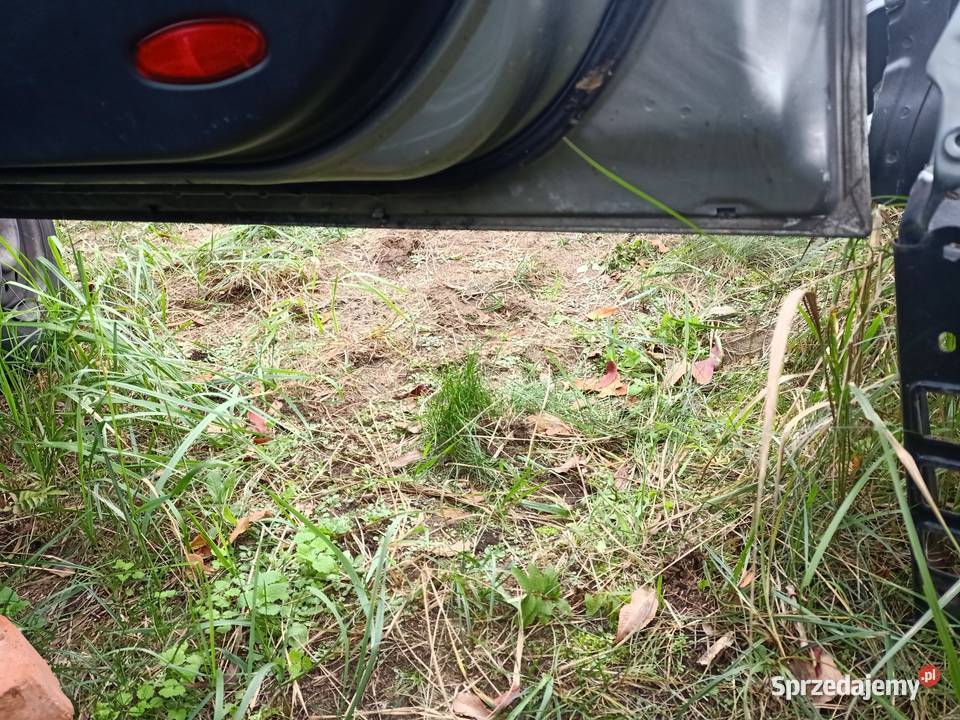 Drzwi prawy przód przednie prawe nissan primera Szczecin sprzedam