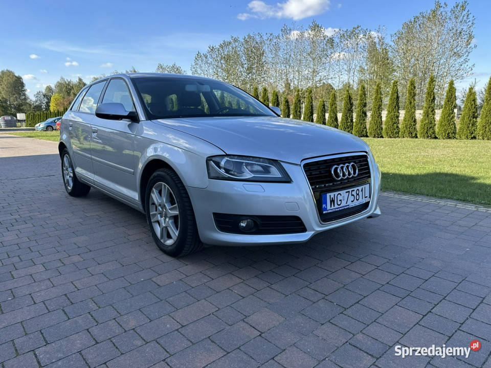 Audi A3 8P 20032012 Lipówki