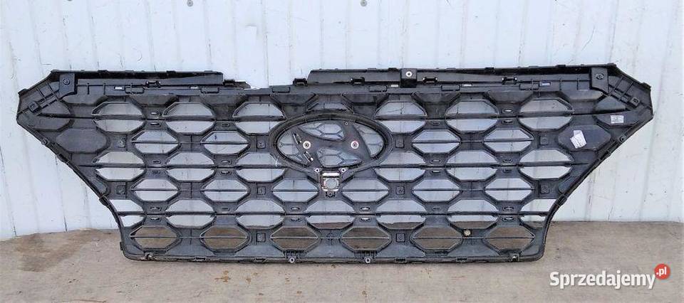 HYUNDAI SANTA FE 1820 GRILL ATRAPA