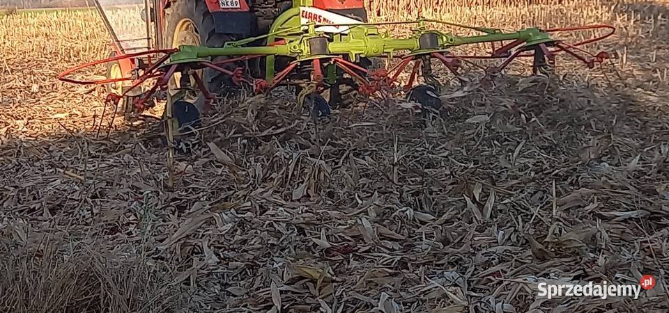 Przetrzasarka claas was 540 dolnośląskie Wołów