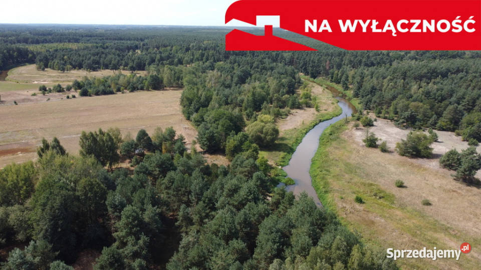 Działka letniskowa 800 m2 w Woli Chodkowskiej Sprzedaż mazowieckie Wola Chodkowska
