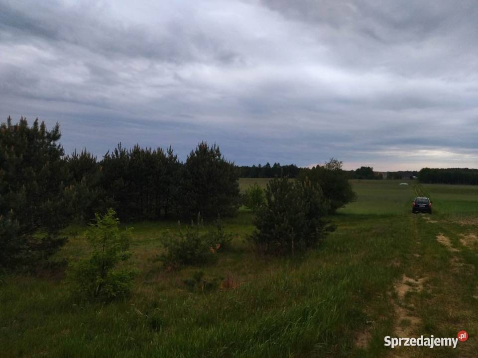 Działka budowlana Świerczyna