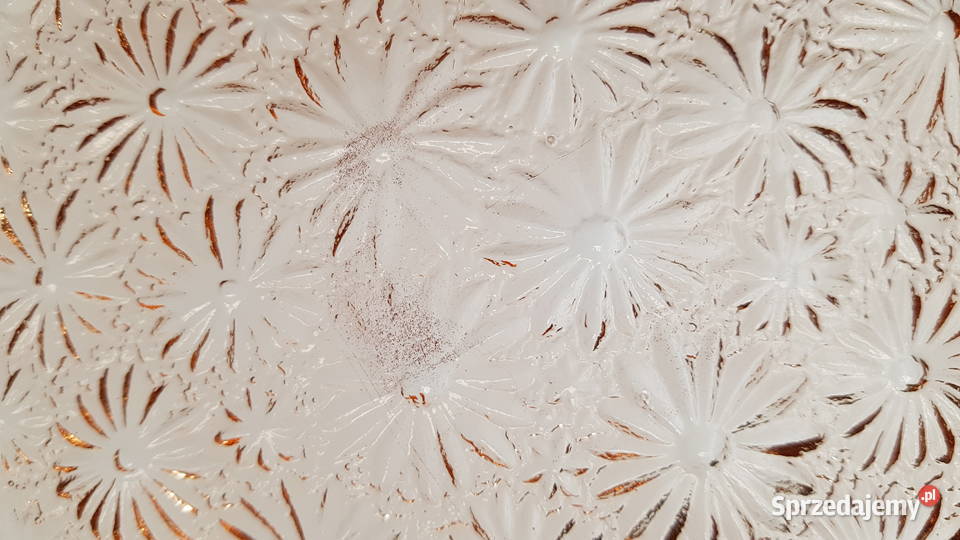 Talerz Stokrotki Primavera ok 23 Ząbkowice Dąbrowa Górnicza sprzedam