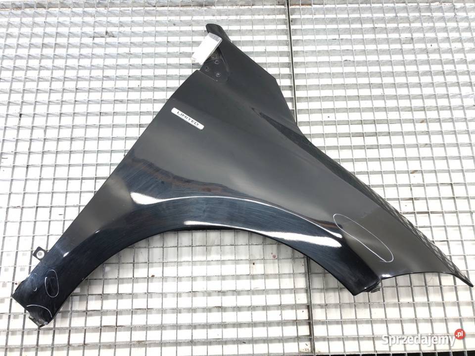 BŁOTNIK PRZÓD PRAWY RENAULT MEGANE III Hatchback podkarpackie sprzedam