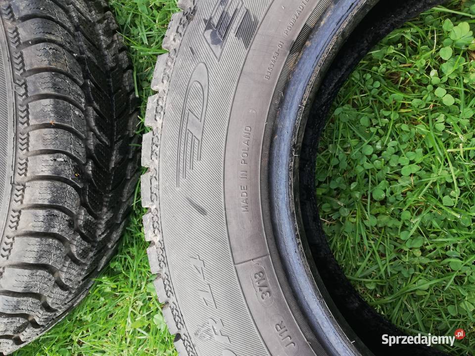 Opony zimowe Dębica Frigo nowe