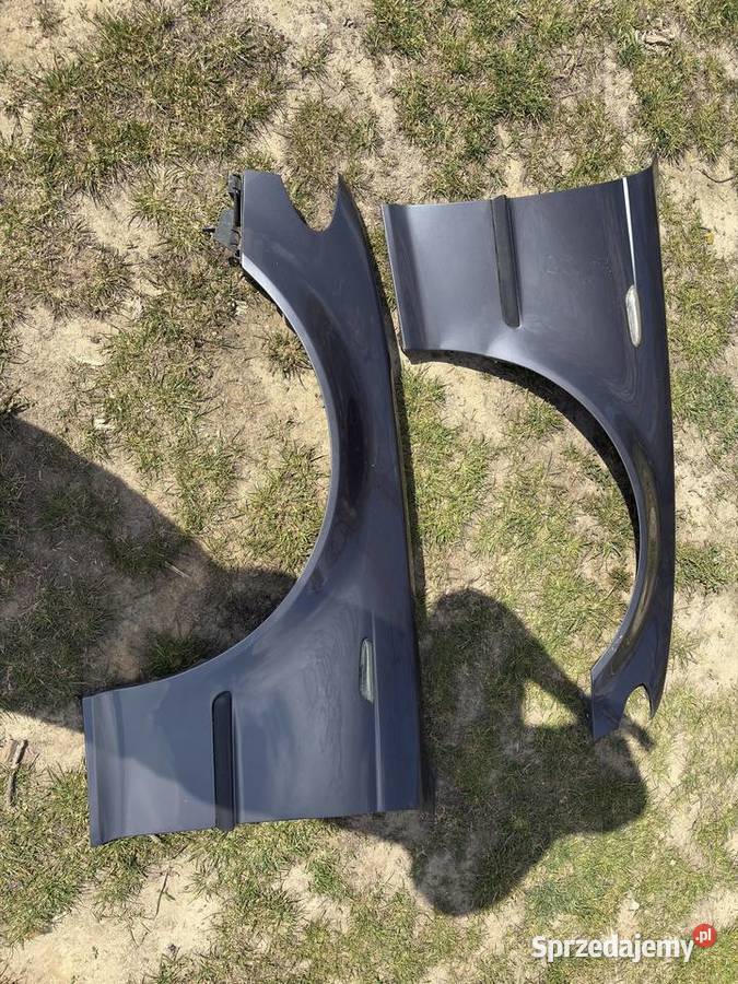Błotniki przednie bmw e46 Łagów sprzedam