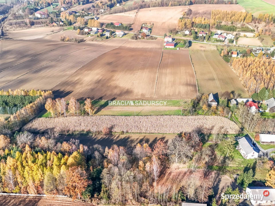 Grunt Przesławice 6000m2 małopolskie sprzedam