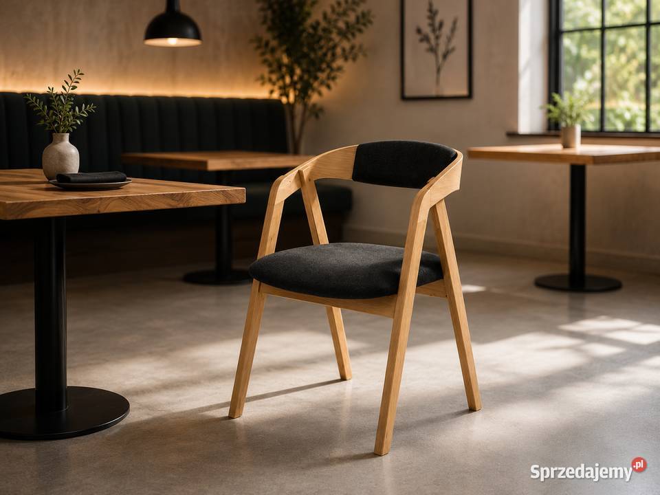 Krzesło 850 do domu jadalni restauracji lokalu