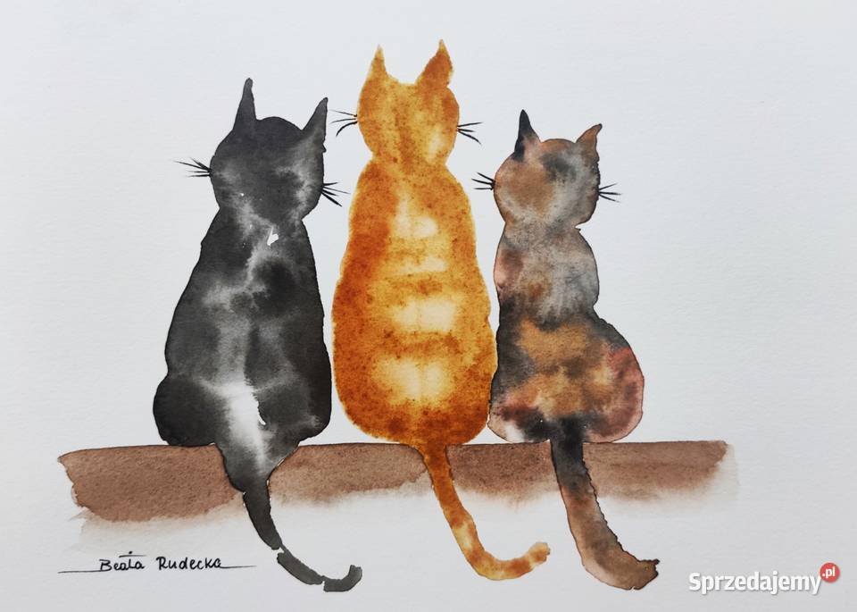 Obraz Akwarela KOTY 26x19 Oryginał Lublin