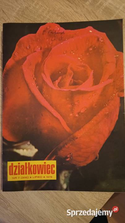 Działkowiec czasopismo PRL Jędrzejów