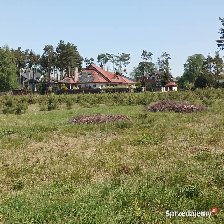 sprzedam działkę budowlaną w Międzyborowie Międzyborów
